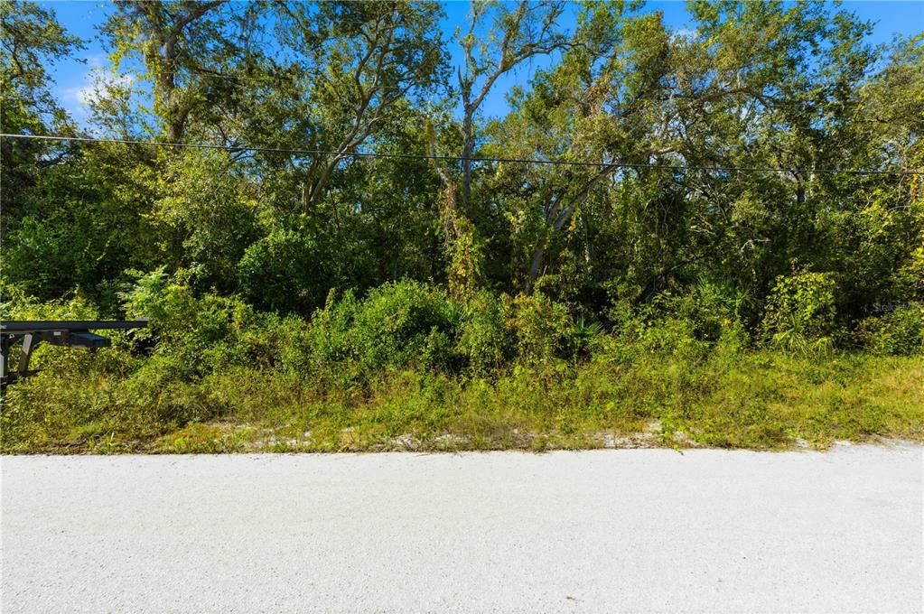 For Sale: $20,000 (0.27 acres)