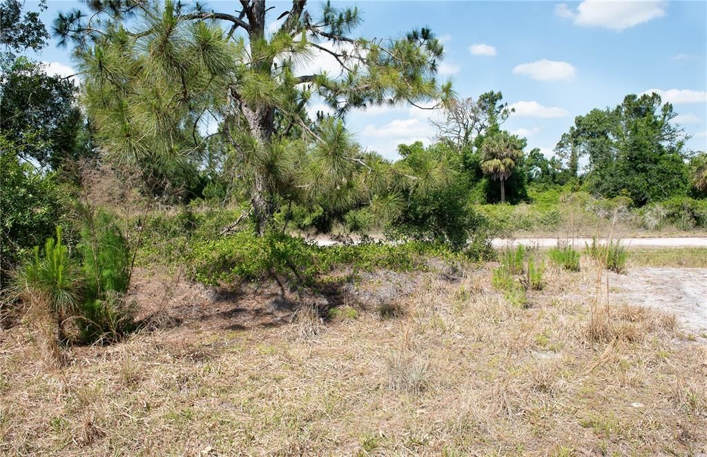 Active With Contract: $19,999 (0.45 acres)