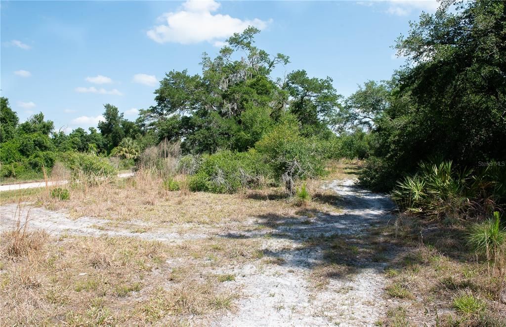 Active With Contract: $19,999 (0.45 acres)