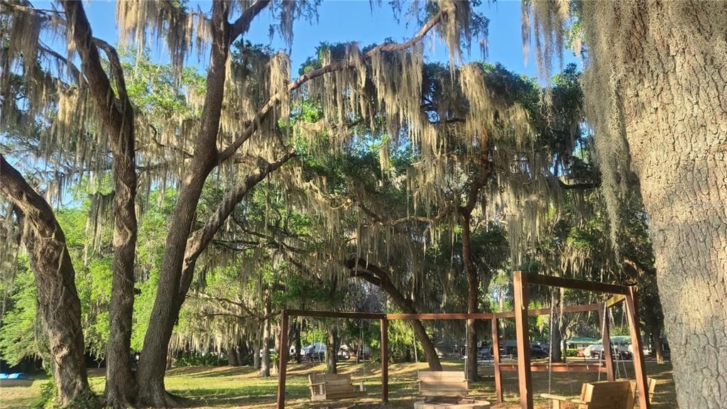 For Sale: $67,500 (0.02 acres)