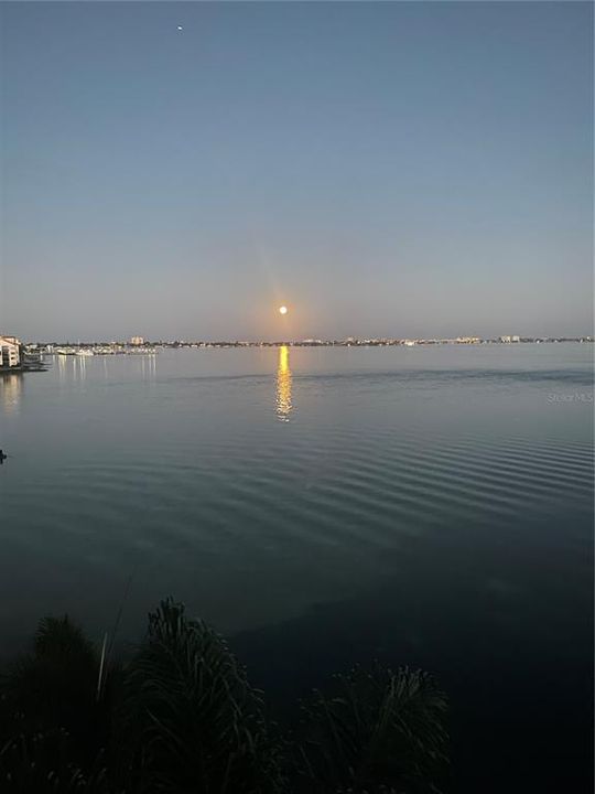 For Sale: $509,000 (2 beds, 2 baths, 1255 Square Feet)