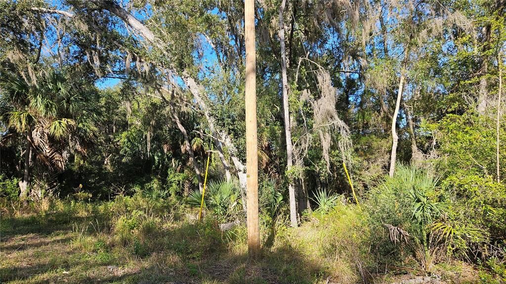 Под контрактом: $16,000 (0.33 acres)