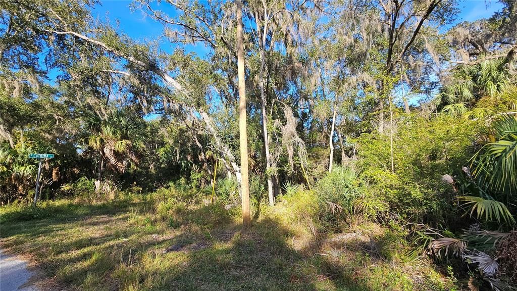 Под контрактом: $16,000 (0.33 acres)