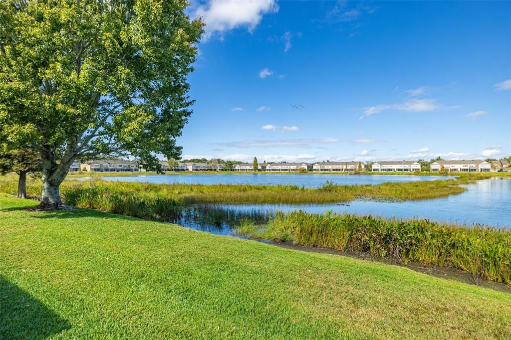 待售: $309,900 (3 贝兹, 2 浴室, 1790 平方英尺)