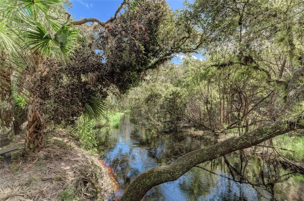 En Venta: $50,000 (0.50 acres)