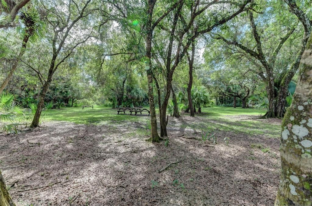 En Venta: $50,000 (0.50 acres)