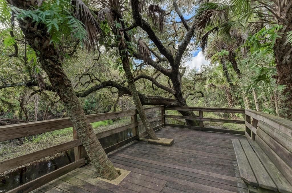 En Venta: $50,000 (0.50 acres)