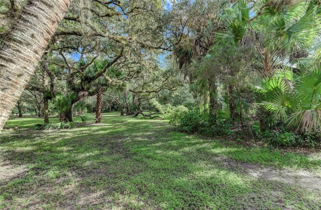 En Venta: $50,000 (0.50 acres)