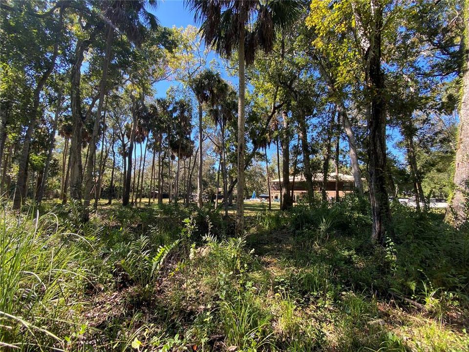 Activo con contrato: $495,000 (3 camas, 2 baños, 1470 Pies cuadrados)