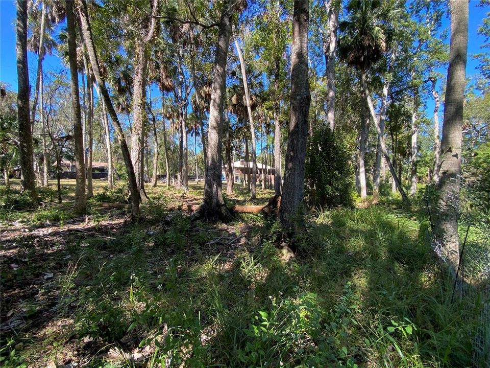 Activo con contrato: $495,000 (3 camas, 2 baños, 1470 Pies cuadrados)