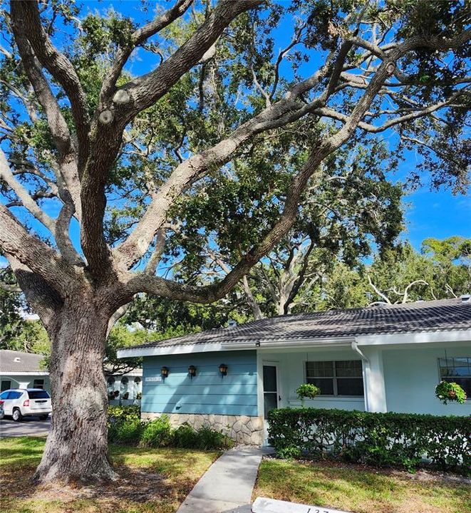 На продажу: $199,000 (2 спален, 2 ванн, 1355 Квадратных фут)