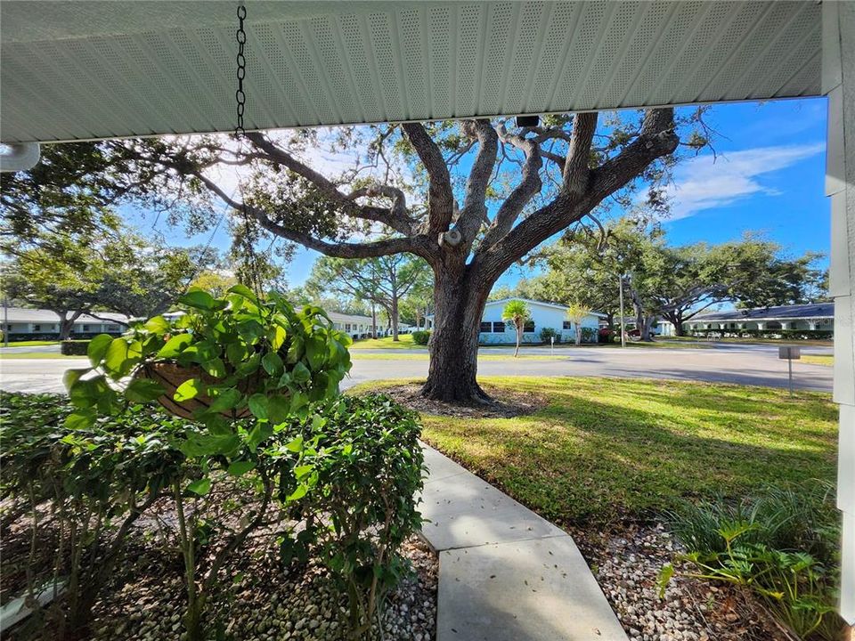 На продажу: $199,000 (2 спален, 2 ванн, 1355 Квадратных фут)