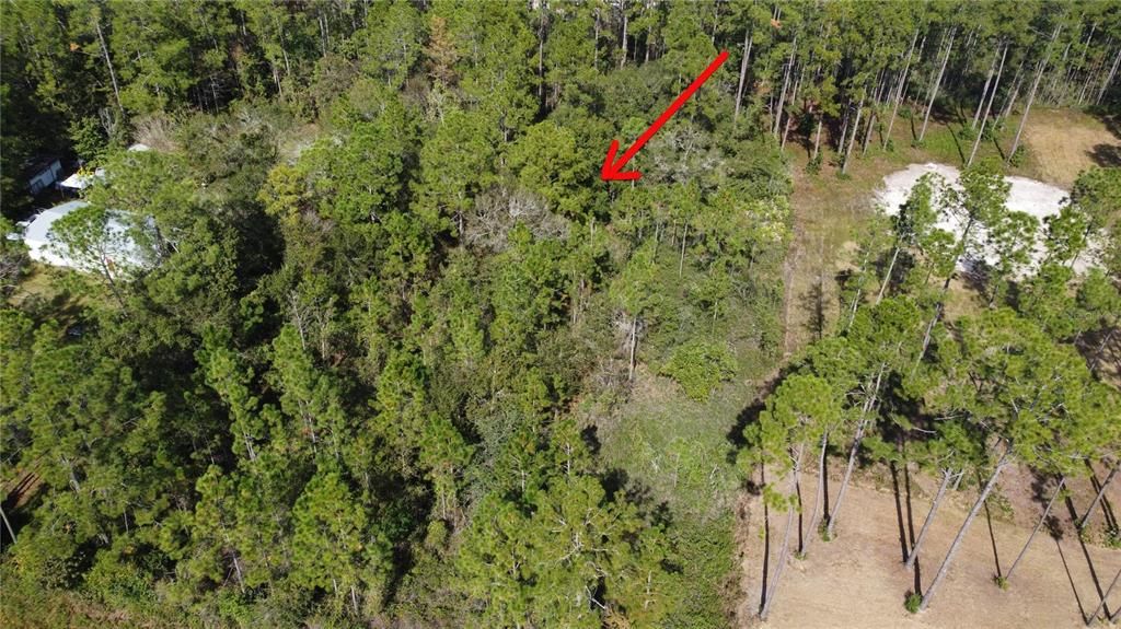 For Sale: $53,000 (1.49 acres)