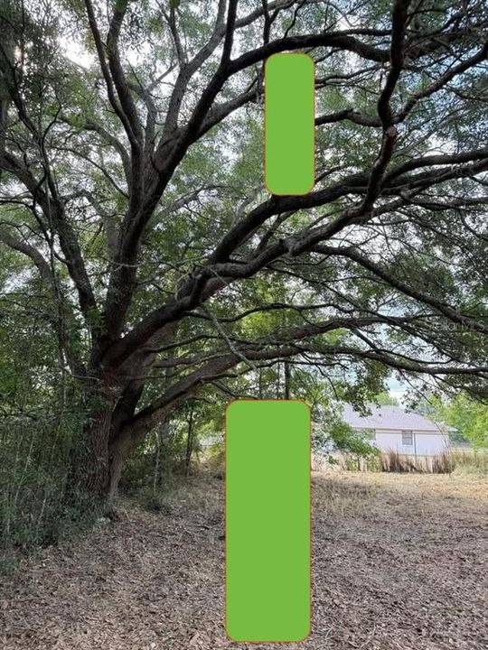 En Venta: $42,000 (0.31 acres)