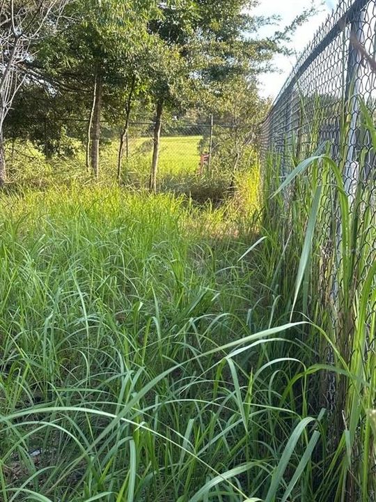 En Venta: $42,000 (0.31 acres)