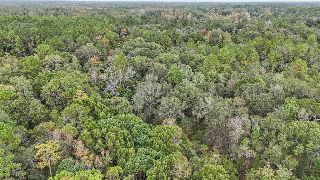 На продажу: $250,000 (5.00 acres)