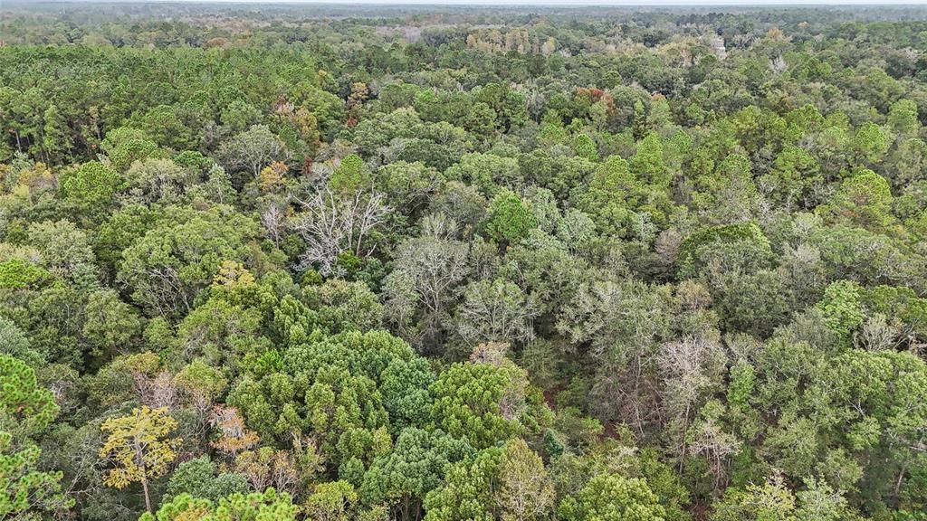 待售: $50,000 (1.77 acres)