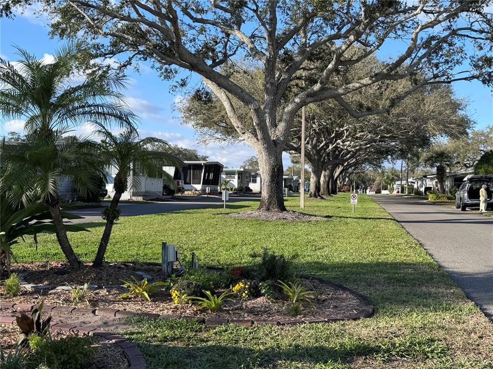 待售: $95,000 (2 贝兹, 2 浴室, 1118 平方英尺)