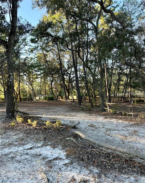 For Sale: $29,000 (0.91 acres)