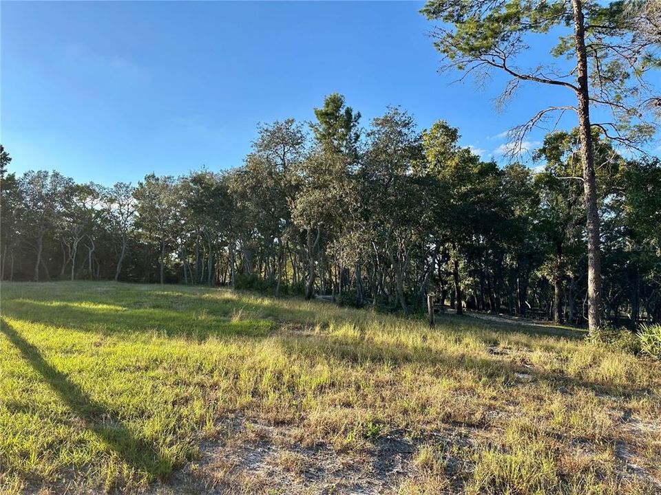 For Sale: $29,000 (0.91 acres)