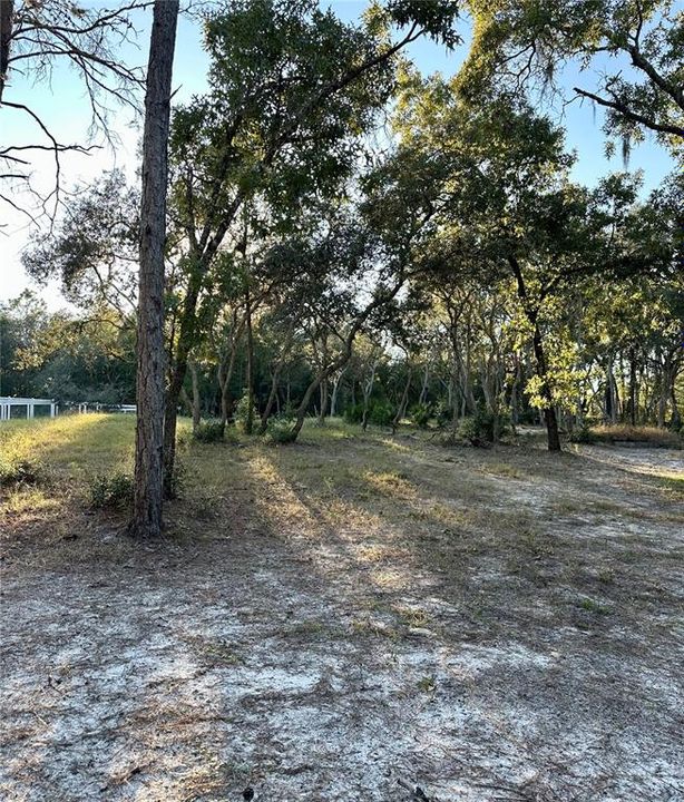 For Sale: $29,000 (0.91 acres)