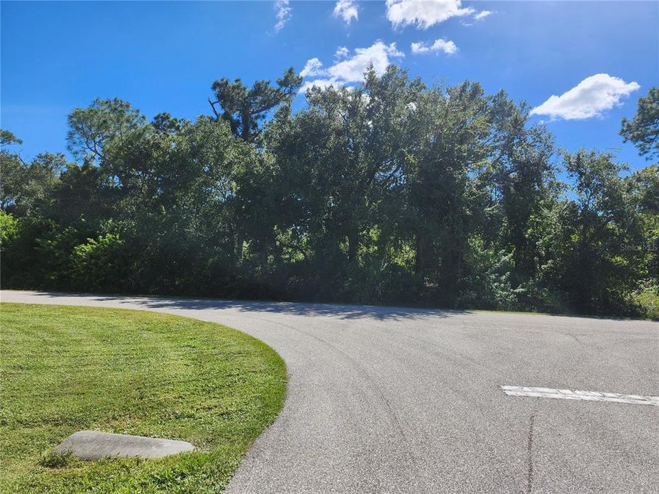 На продажу: $15,900 (0.23 acres)