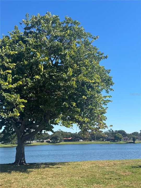 For Sale: $450,000 (3 beds, 2 baths, 1170 Square Feet)