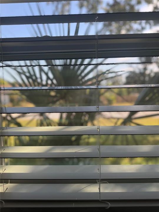 For Sale: $450,000 (3 beds, 2 baths, 1170 Square Feet)