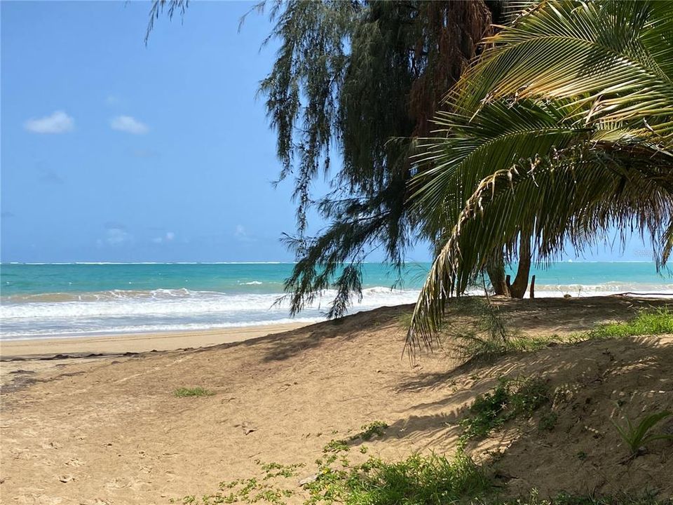 出租: $2,800 (2 贝兹, 2 浴室, 1366 平方英尺)