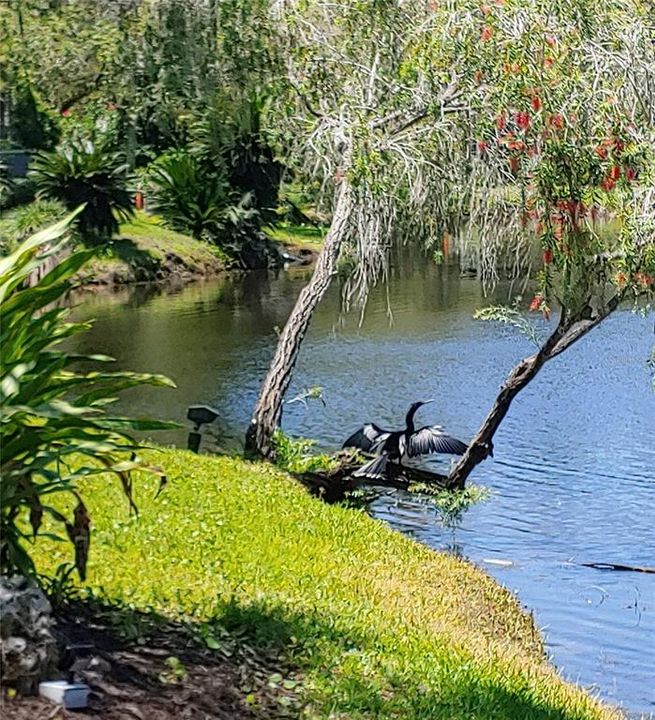 En Venta: $260,000 (2 camas, 2 baños, 1341 Pies cuadrados)