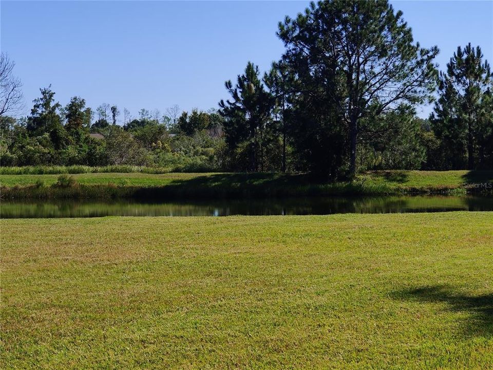 For Rent: $2,600 (3 beds, 2 baths, 1777 Square Feet)