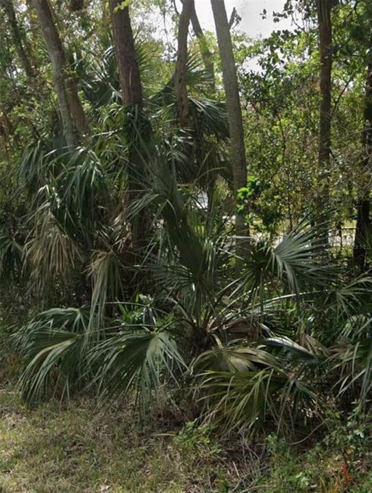 待售: $125,000 (0.36 acres)