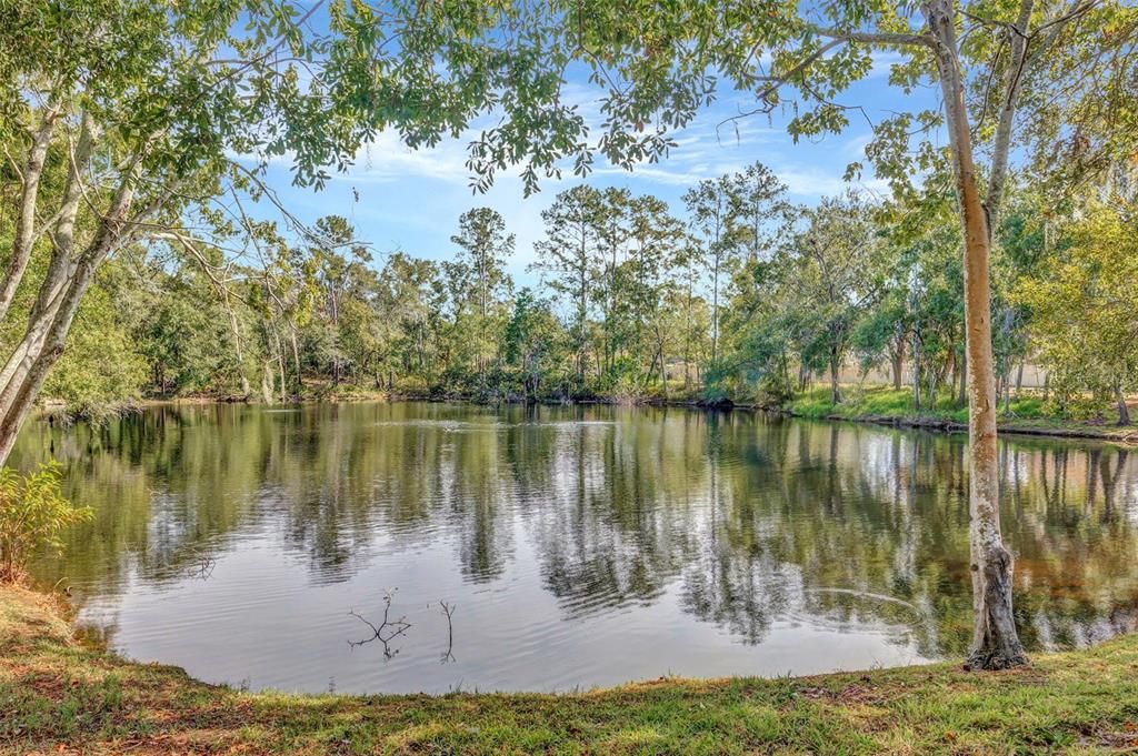 合同活跃: $370,000 (3 贝兹, 2 浴室, 1635 平方英尺)