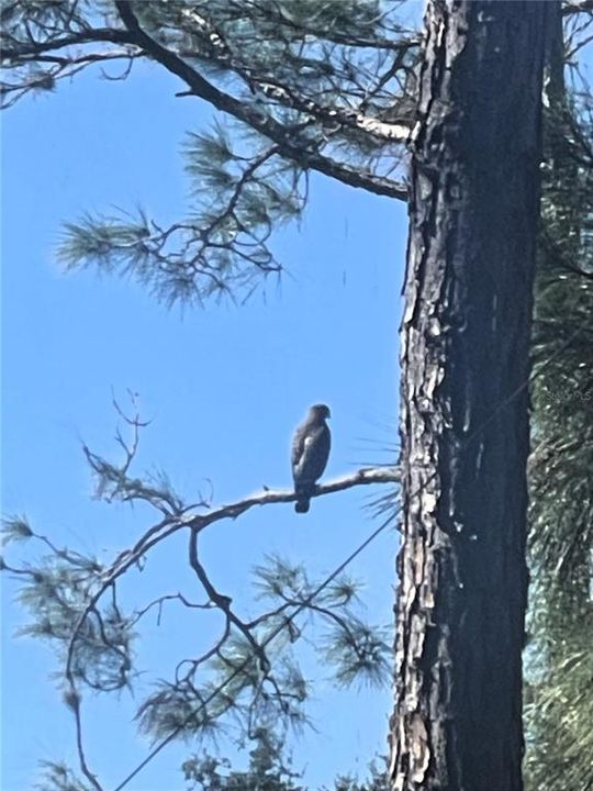 For Sale: $728,000 (4 beds, 3 baths, 2661 Square Feet)