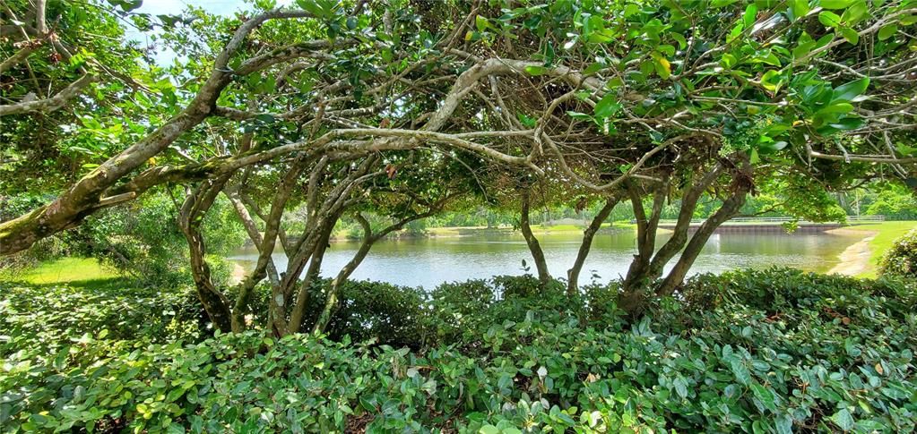 For Rent: $1,850 (1 beds, 1 baths, 1029 Square Feet)