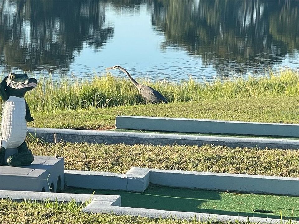 待售: $119,900 (2 贝兹, 2 浴室, 1056 平方英尺)