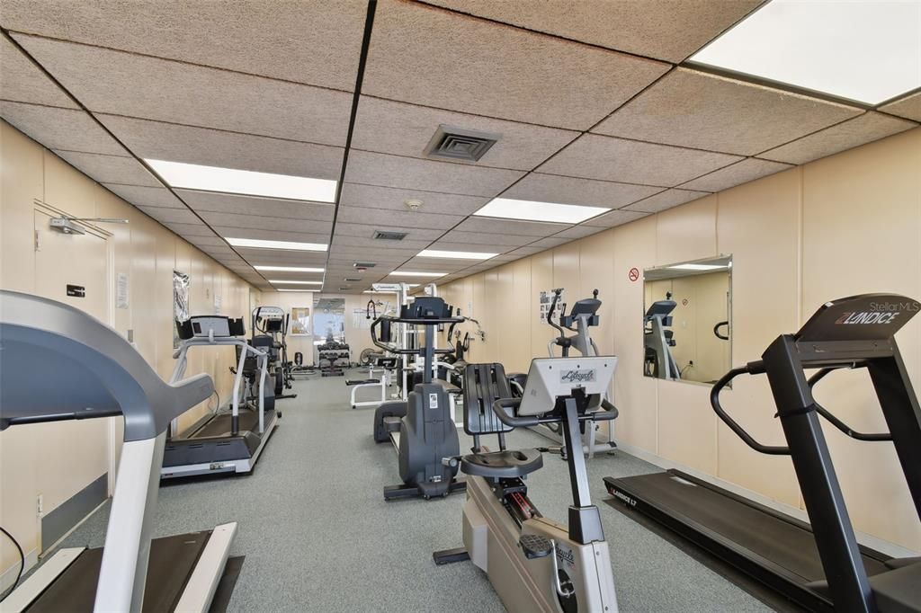 待售: $500,000 (1 贝兹, 1 浴室, 995 平方英尺)