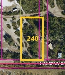 For Sale: $46,000 (1.26 acres)