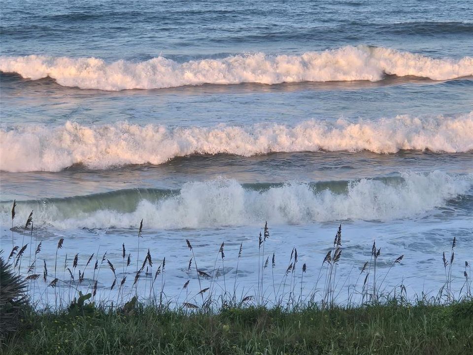 En Renta: $1,650 (1 camas, 1 baños, 450 Pies cuadrados)