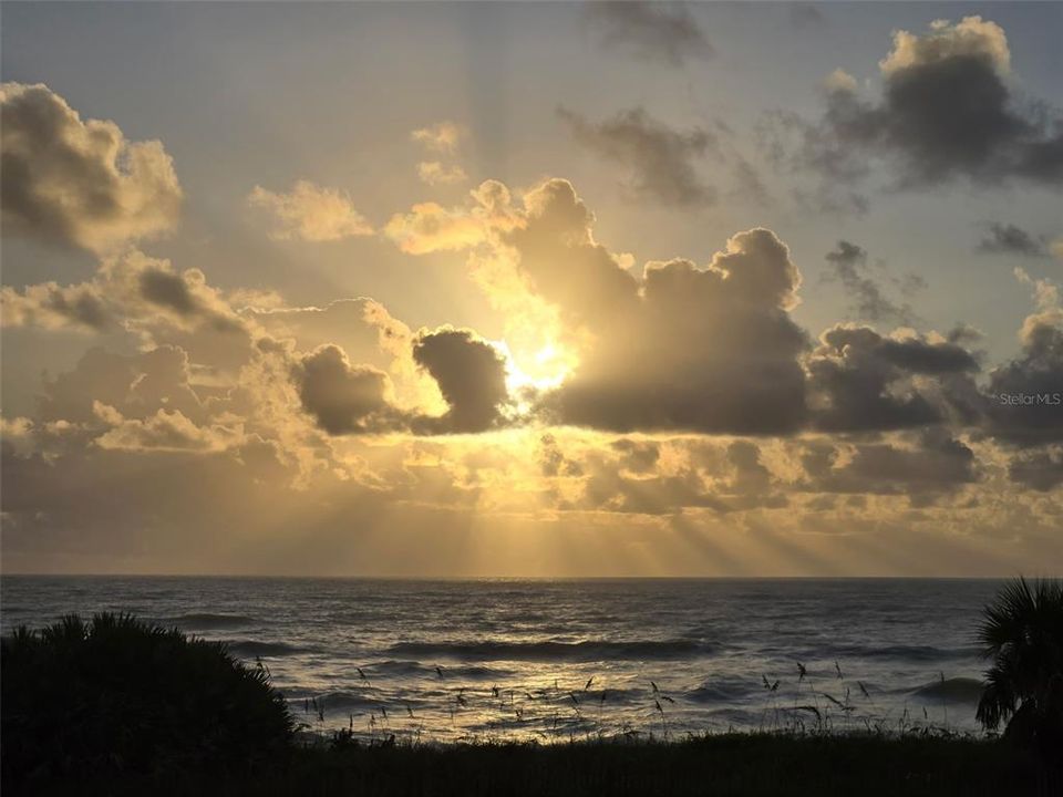 En Renta: $1,650 (1 camas, 1 baños, 450 Pies cuadrados)