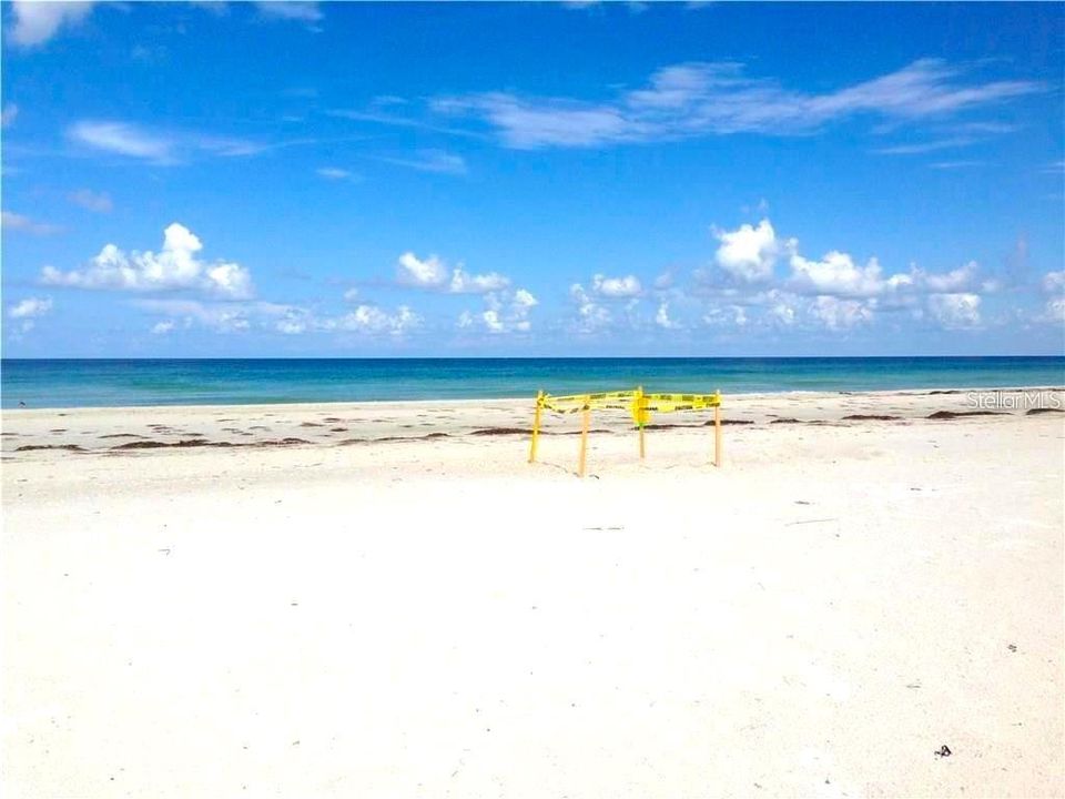 En Renta: $6,500 (2 camas, 2 baños, 1340 Pies cuadrados)