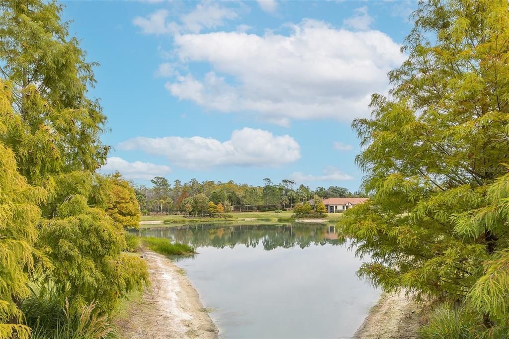 Под контрактом: $459,900 (2 спален, 2 ванн, 1689 Квадратных фут)