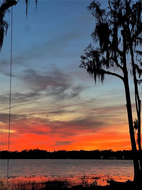 待售: $6,400,000 (2 贝兹, 1 浴室, 1256 平方英尺)