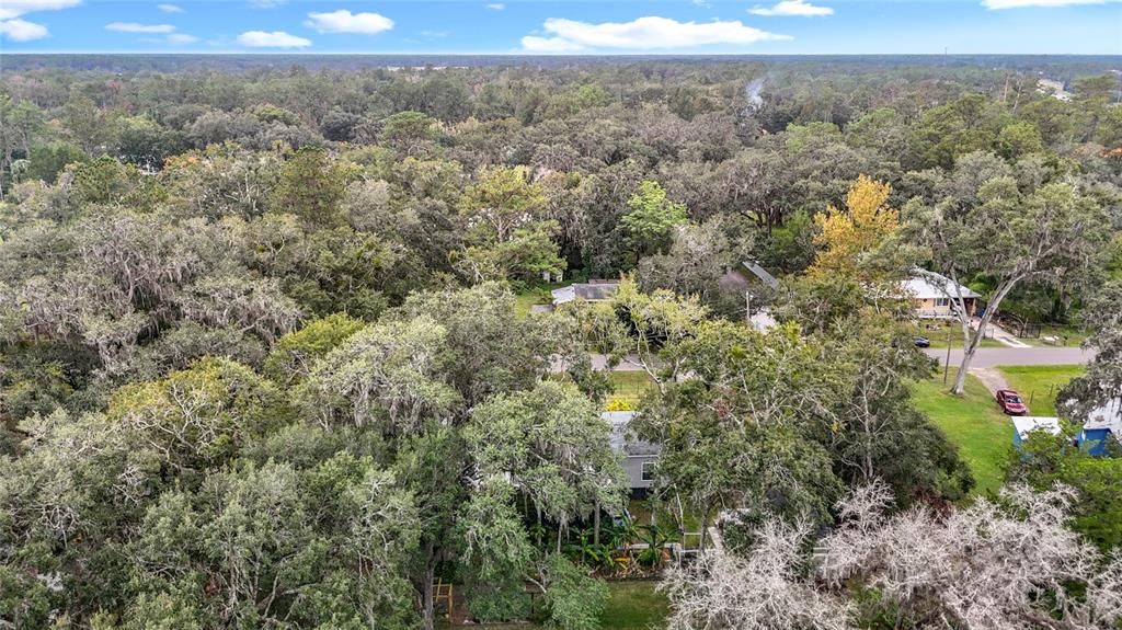 Под контрактом: $276,500 (3 спален, 3 ванн, 2052 Квадратных фут)