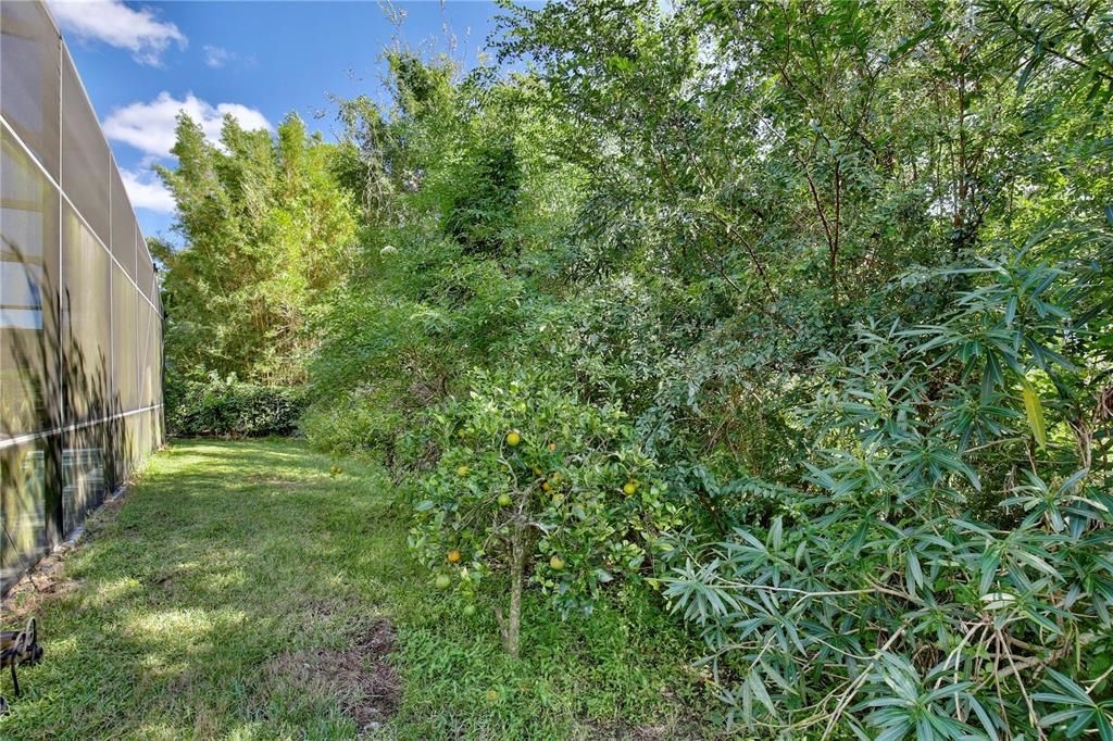 En Venta: $969,000 (6 camas, 4 baños, 4214 Pies cuadrados)