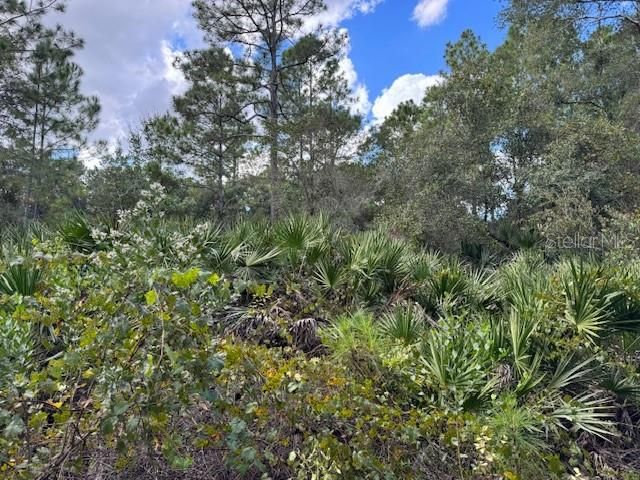 For Sale: $35,900 (0.22 acres)