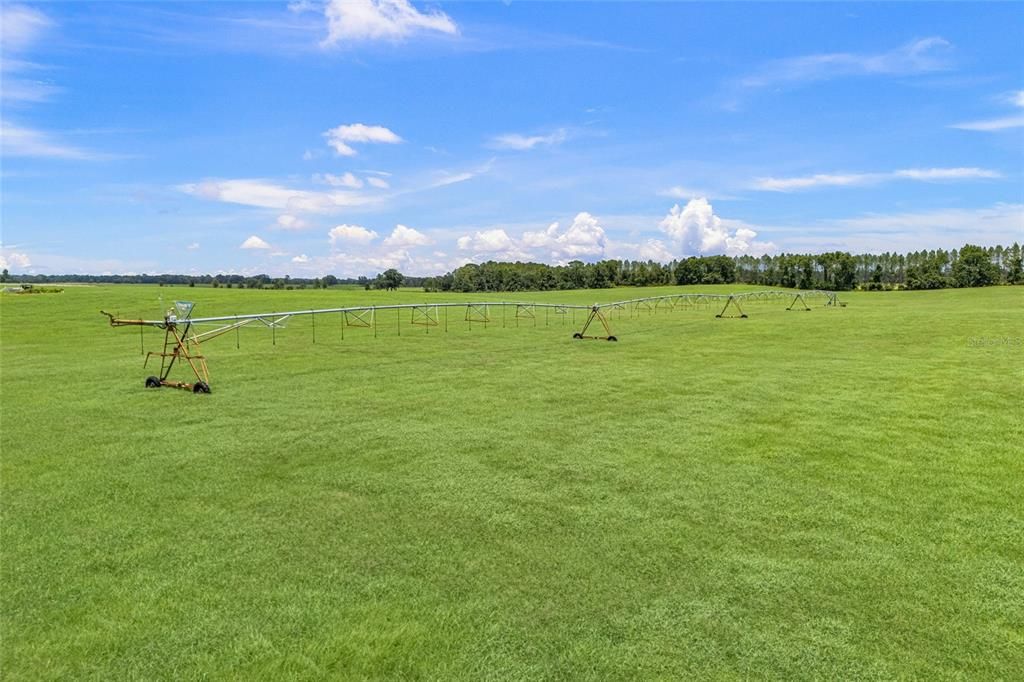 En Venta: $1,750,000 (97.93 acres)