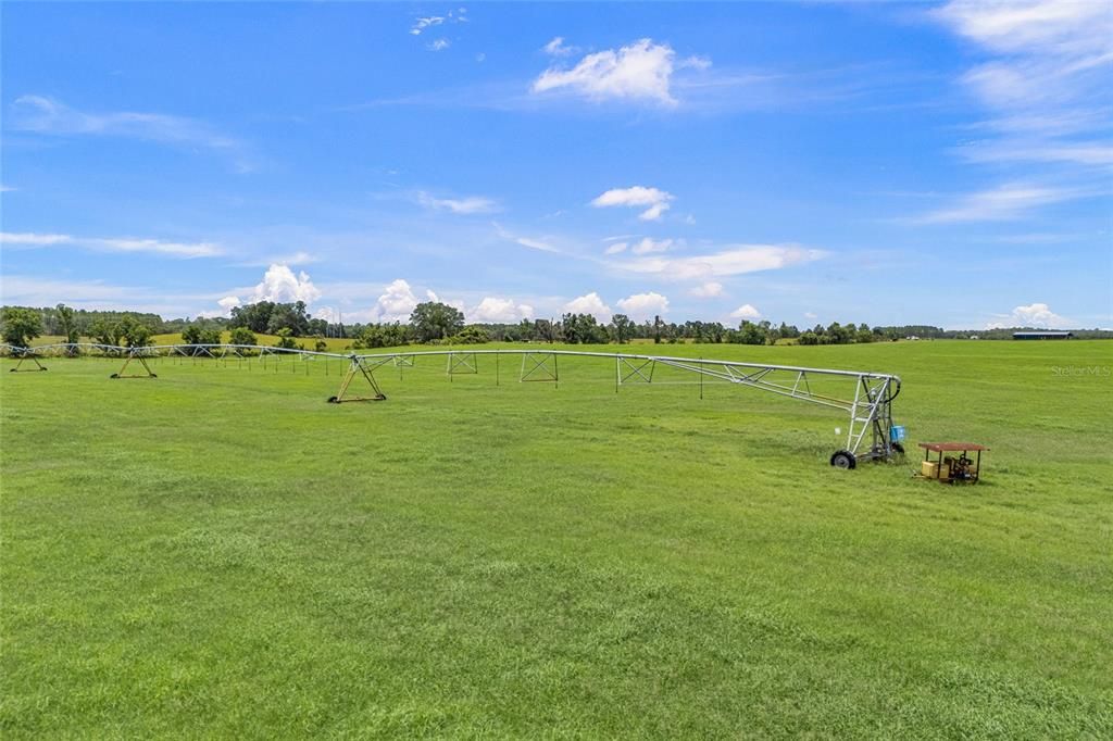 En Venta: $1,750,000 (97.93 acres)