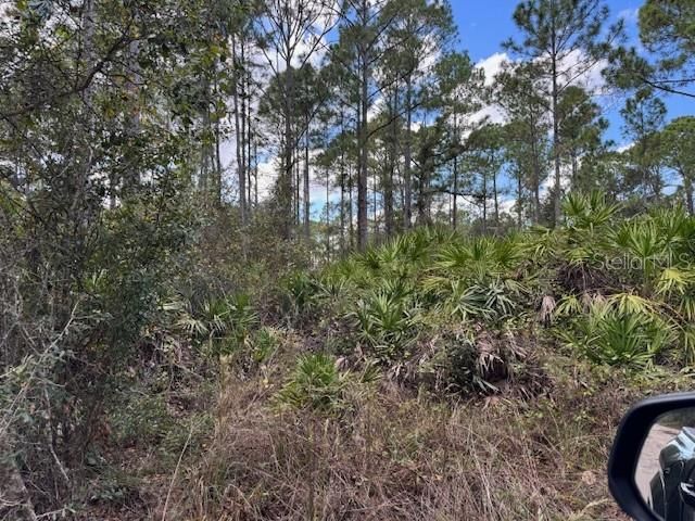 For Sale: $35,900 (0.22 acres)