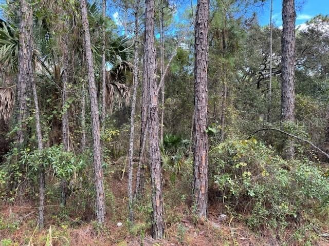 For Sale: $35,900 (0.22 acres)